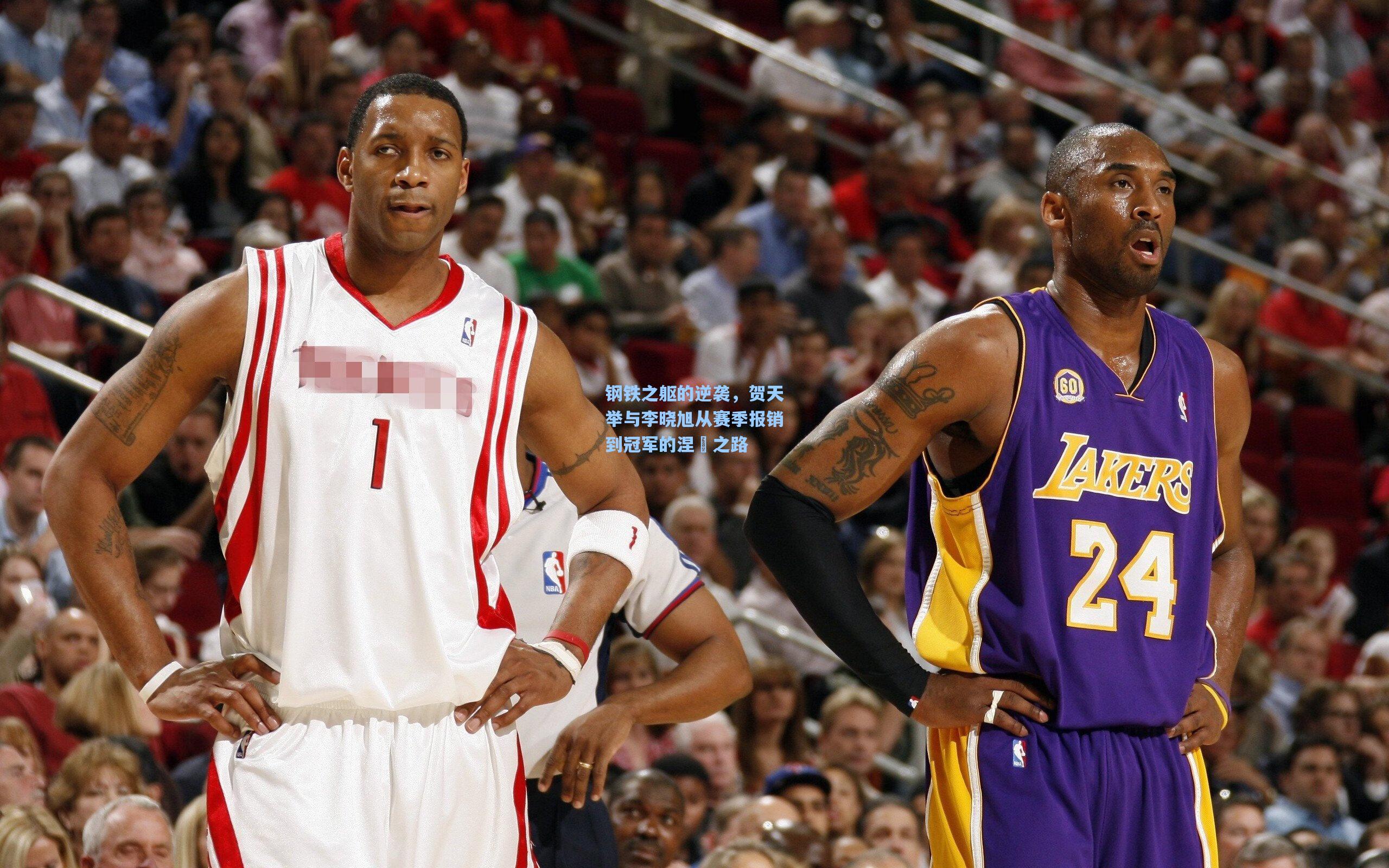 钢铁之躯的逆袭,贺天举与李晓旭从赛季报销到冠军的涅槃之路